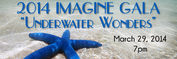 2014 Imagine Gala Theme Highlights the Significance of Southwest Florida’s Waterways