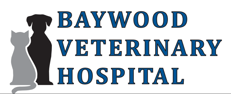 Two Veterinarians join Baywood Veterinary Hospital in Cape Coral