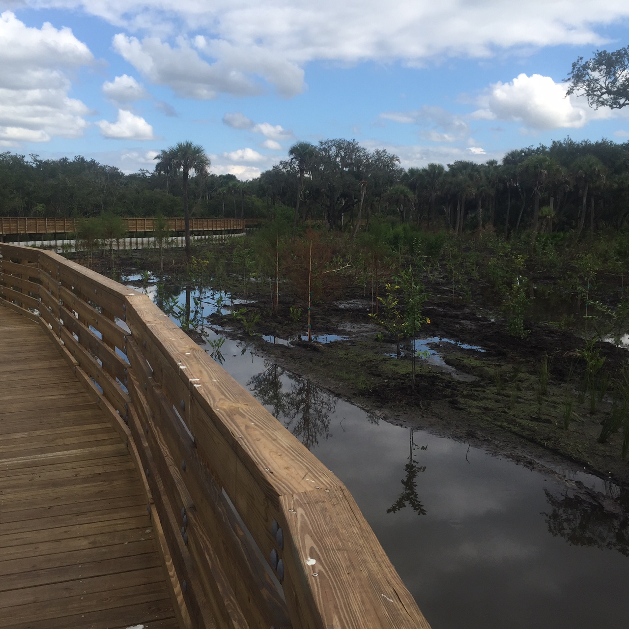Ford Street Preserve wins Florida Stormwater Association award
